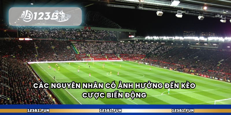 Các nguyên nhân có ảnh hưởng đến kèo cược biến động 
