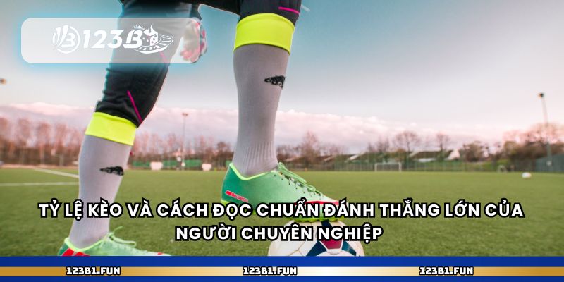 Tỷ lệ kèo và cách đọc chuẩn đánh thắng lớn của người chuyên nghiệp 